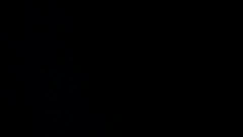 pepegrillo20209 online show from December 17, 2024, 10:12 am