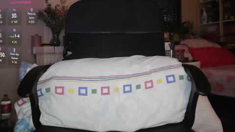 Snapshot of peregrintpelfox chatting on February 3, 2026, 8:30 am peregrintpelfox online show from February 3, 2026, 8:30 am