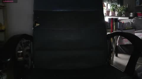 Snapshot of peregrintpelfox chatting on February 4, 2026, 9:04 am peregrintpelfox online show from February 4, 2026, 9:04 am