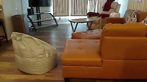 perfecto1957 online show from December 7, 2024, 7:10 pm