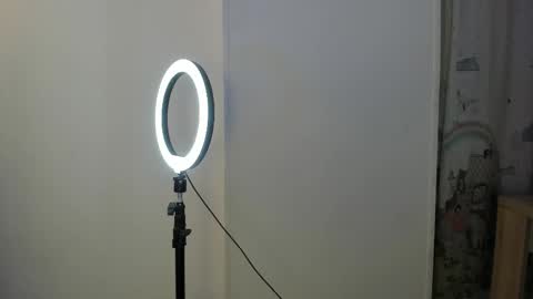 Perla online show from February 3, 2026, 4:32 am