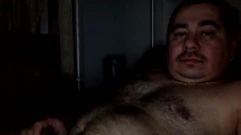 perro2010joshua online show from January 8, 2025, 12:28 am