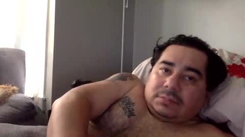 perro2010joshua online show from January 11, 2025, 3:52 pm