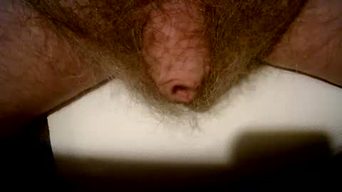 Snapshot of peterpeteropoulos chatting on February 14, 2025, 9:10 pm peterpeteropoulos online show from February 14, 2025, 9:10 pm