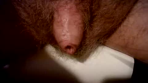 Snapshot of peterpeteropoulos chatting on February 20, 2025, 7:41 pm peterpeteropoulos online show from February 20, 2025, 7:41 pm