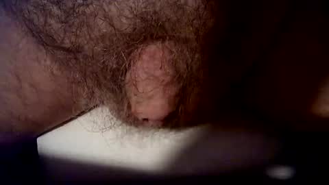 Snapshot of peterpeteropoulos chatting on September 10, 2025, 7:47 pm peterpeteropoulos online show from September 10, 2025, 7:47 pm