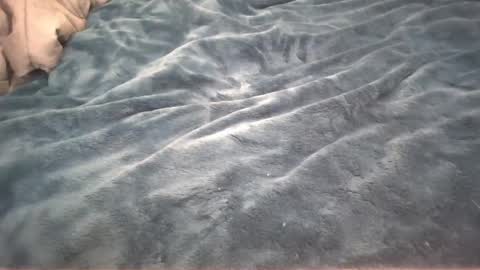 Snapshot of petite_cupcake chatting on February 26, 2025, 2:59 am Little cupcake online show from February 26, 2025, 2:59 am