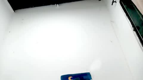 danna online show from November 26, 2025, 4:57 am