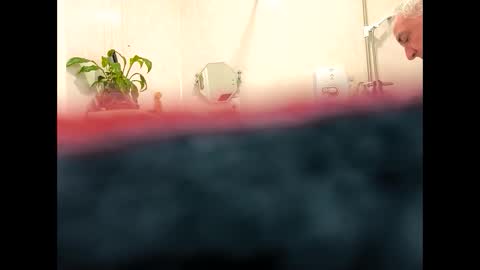 Snapshot of petrol63102 chatting on February 19, 2026, 9:38 am petrol63102 online show from February 19, 2026, 9:38 am