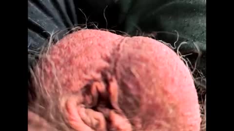 Snapshot of petrol63102 chatting on February 26, 2026, 1:10 pm petrol63102 online show from February 26, 2026, 1:10 pm