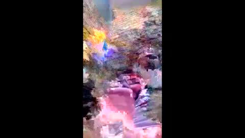 pezzabigcock online show from February 17, 2026, 7:27 am