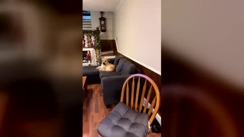 PhatAssBlond online show from December 15, 2025, 3:05 pm