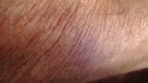 phil6369000 online show from December 19, 2025, 4:47 pm