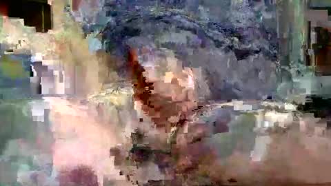 phill268 online show from December 28, 2024, 6:49 am