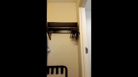 phoenixjosh92 online show from February 22, 2026, 8:35 am