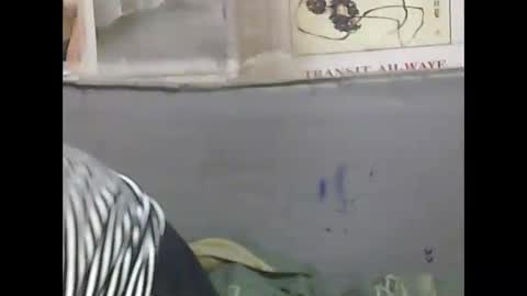 pierrette12345 online show from April 11, 2026, 6:34 pm