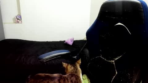 weedcandy ig y twitter xpink dustt online show from October 14, 2025, 2:23 am