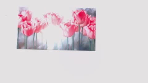 pinky_f00x online show from March 28, 2026, 7:57 pm