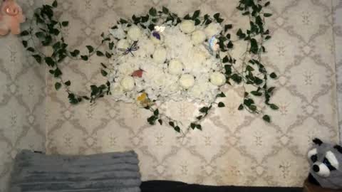 Snapshot of pinochetti chatting on February 17, 2026, 12:34 pm Incubus online show from February 17, 2026, 12:34 pm