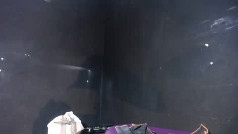 pirata_privado online show from December 5, 2025, 10:35 am