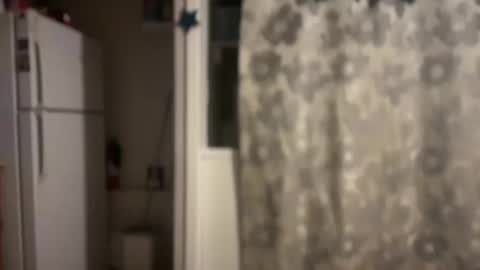 Snapshot of pirdybirdyxo chatting on March 12, 2025, 12:31 am pirdybirdyxo online show from March 12, 2025, 12:31 am