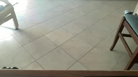 pisellone_xxl online show from September 19, 2025, 1:01 pm