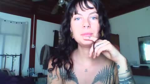 pixiecatfairy online show from November 16, 2025, 2:17 am