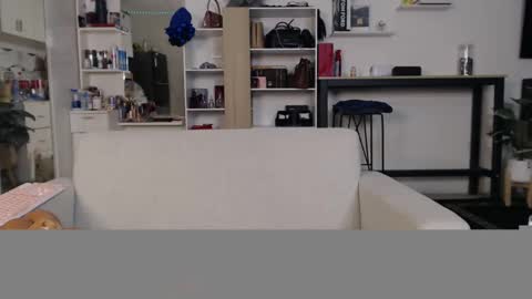 Snapshot of plasticgirll chatting on January 11, 2025, 5:51 pm plasticgirll online show from January 11, 2025, 5:51 pm