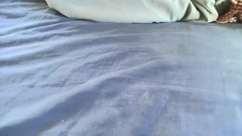 platoniclov online show from November 6, 2025, 9:21 am