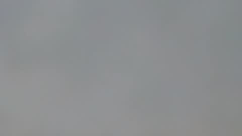 Snapshot of playboypetit chatting on January 15, 2025, 9:41 pm playboypetit online show from January 15, 2025, 9:41 pm