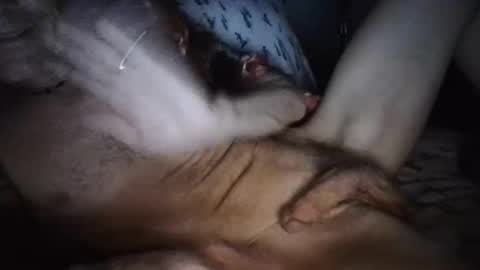 playdaddy756210 online show from March 12, 2026, 2:50 am