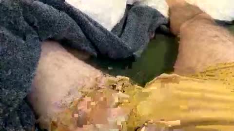 Snapshot of playful_hon chatting on February 1, 2026, 3:10 pm playful_hon online show from February 1, 2026, 3:10 pm