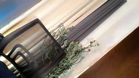 kate online show from March 21, 2026, 5:01 am