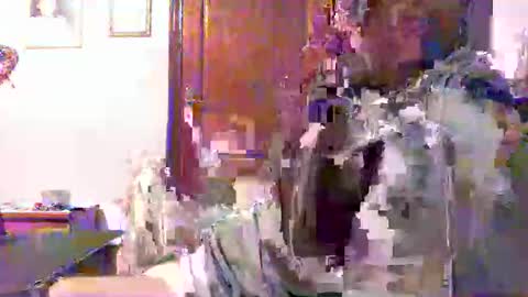 plu07f3520 online show from April 9, 2026, 12:43 am