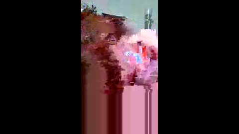 plumber336652 online show from May 31, 2026, 12:30 am