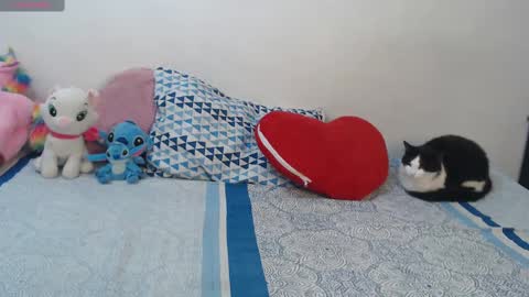 Pocahontas online show from October 29, 2025, 4:20 pm