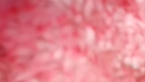 pocahontasdoll95 online show from May 14, 2026, 7:53 pm