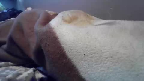 Snapshot of polishbigdick17 chatting on October 29, 2025, 6:04 am polishbigdick17 online show from October 29, 2025, 6:04 am