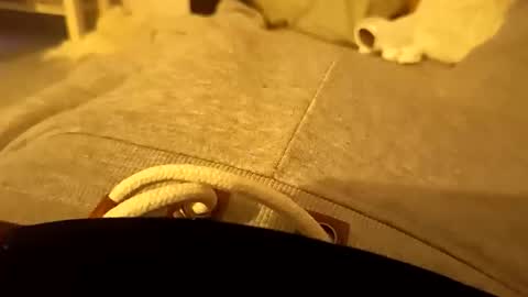 Snapshot of pollontf chatting on March 2, 2026, 1:41 am pollontf online show from March 2, 2026, 1:41 am