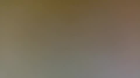 Poprigyn53535 online show from September 13, 2025, 10:15 am