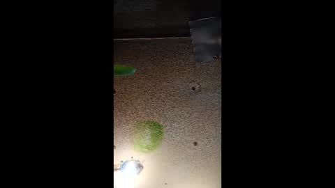 potsymcstoner online show from September 12, 2025, 5:46 pm