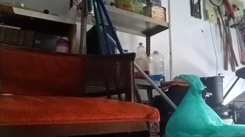 PipeLayerPlayer007 online show from September 14, 2025, 4:50 pm