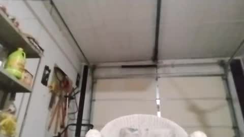 PipeLayerPlayer007 online show from October 4, 2025, 5:38 am