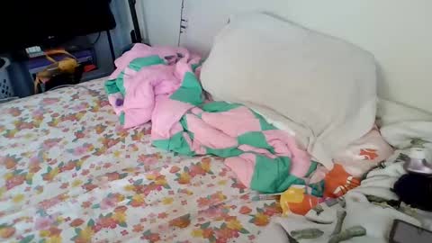 Snapshot of pppawg chatting on January 20, 2025, 4:34 pm PAWG Pale Princess online show from January 20, 2025, 4:34 pm