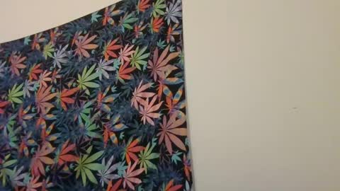 Libra Lamont online show from January 19, 2025, 6:09 am