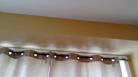 Snapshot of pretty_littletoy chatting on March 5, 2026, 2:02 pm pretty_littletoy online show from March 5, 2026, 2:02 pm