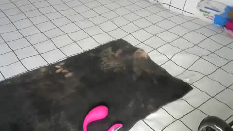 Pretty doll online show from December 22, 2025, 9:39 am