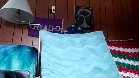 Snapshot of prettysolidd7 chatting on December 4, 2024, 2:59 pm prettysolidd7 online show from December 4, 2024, 2:59 pm