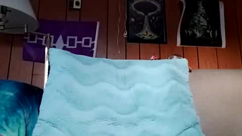 Snapshot of prettysolidd7 chatting on December 16, 2024, 1:22 pm prettysolidd7 online show from December 16, 2024, 1:22 pm