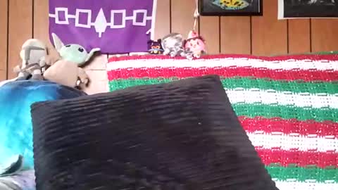 Snapshot of prettysolidd7 chatting on January 4, 2025, 2:35 pm prettysolidd7 online show from January 4, 2025, 2:35 pm